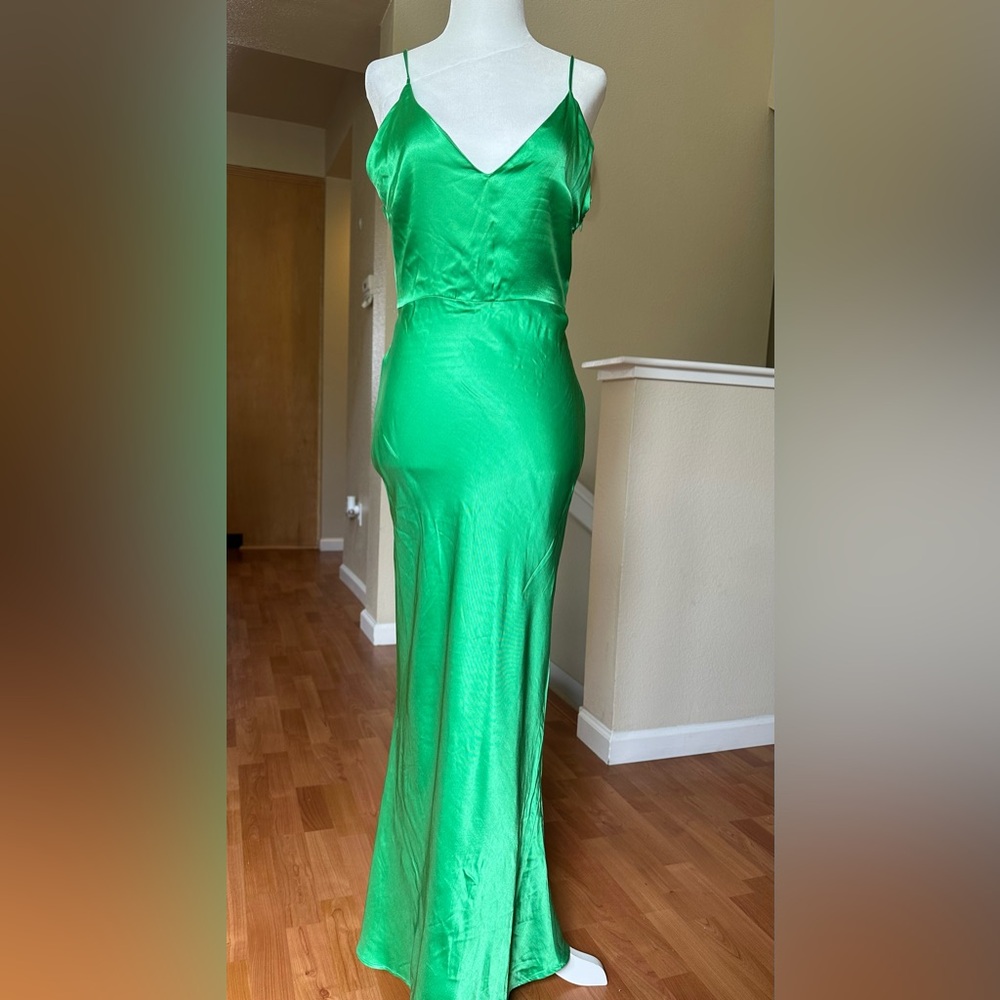 Zara Dress - Picture 6 of 6